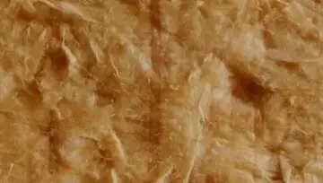 Enduit de lissage Oudon-1