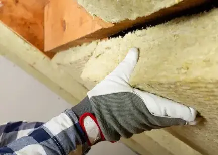 Faux plafond Mésanger-1